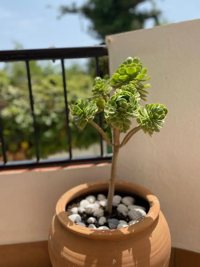 Apartment Las Palmeras 3, Nerja